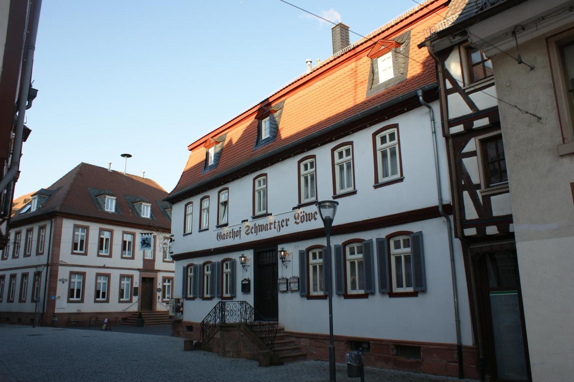 Hotel Schwartzer Loewe Babenhausen  Esterno foto